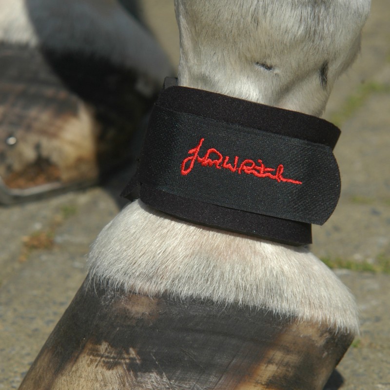 NLB-Neoprene Leg Bands - PONY SIZE ONLY                   